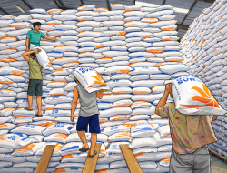 Indonesia Capai Swasembada Beras Total, Stok Awal 2026 Tembus 12,5 Juta Ton Tanpa Impor
